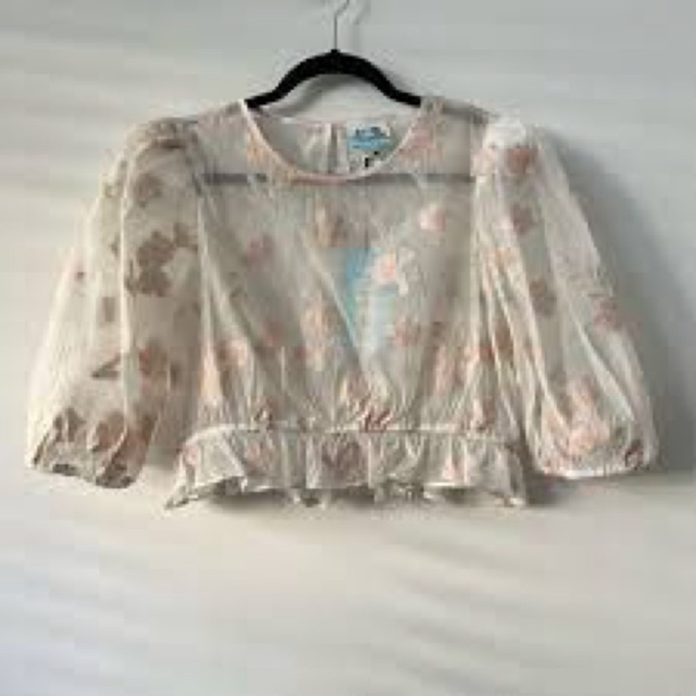 🌺 Future Collective Floral Embroidered Sheer Cropped Top